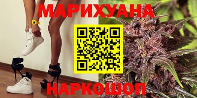 индика Будённовск