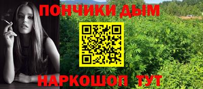 индика Будённовск