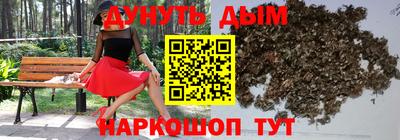индика Будённовск