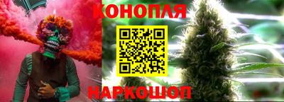 индика Будённовск