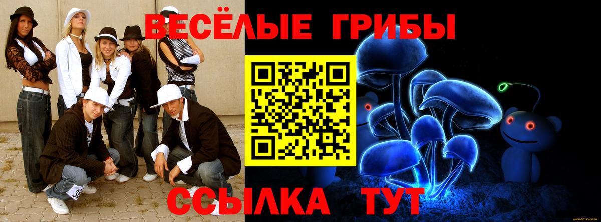 Новокубанск  Псилоцибиновые грибы Cubensis  Галлюциногенные грибы мухоморы  Вход с VPN 